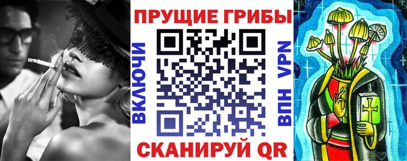Галлюциногенные грибы Psilocybe  Заводоуковск 